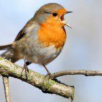 Twitter And How You Can Use It